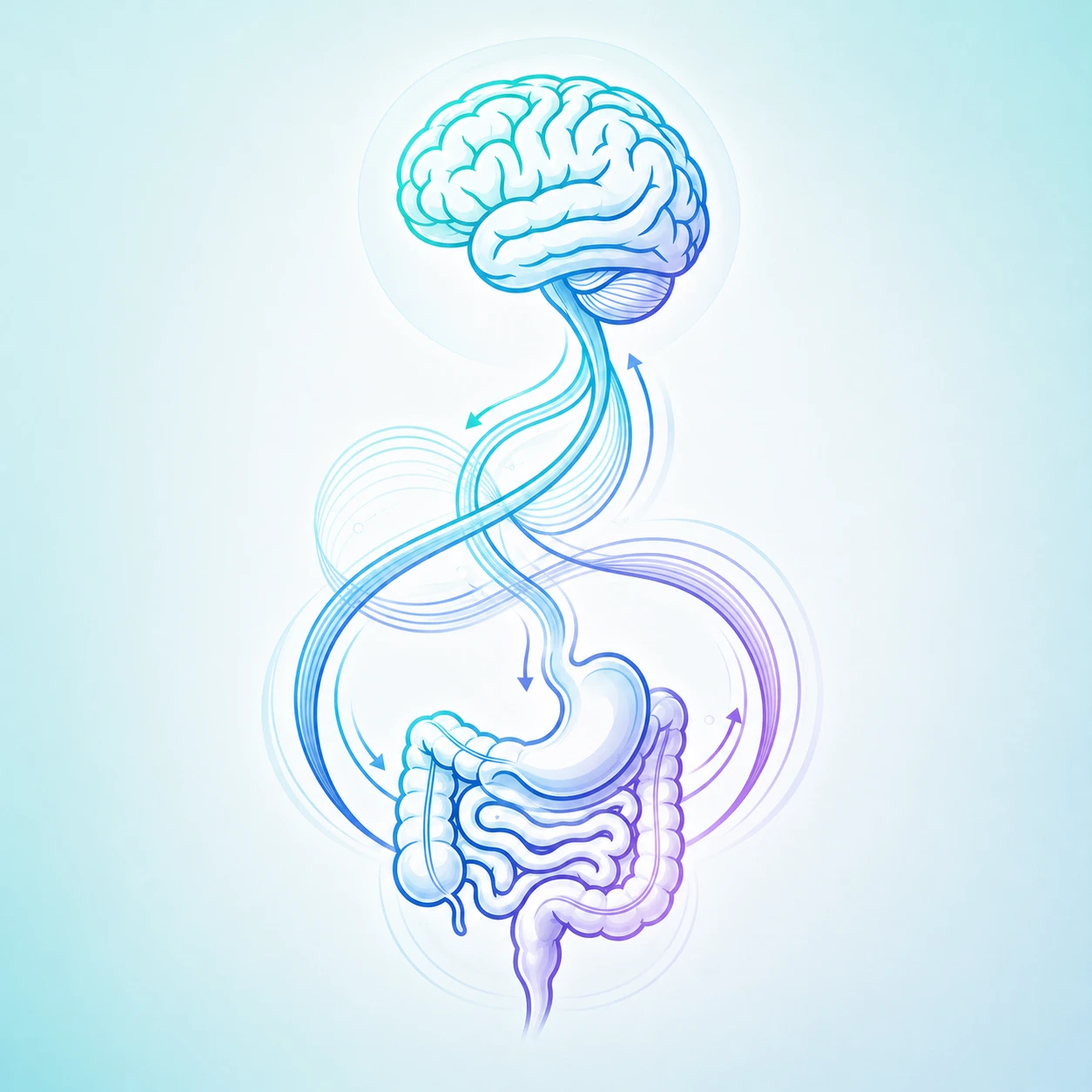 Illustration of the gut-brain connection with highlighted neural pathways